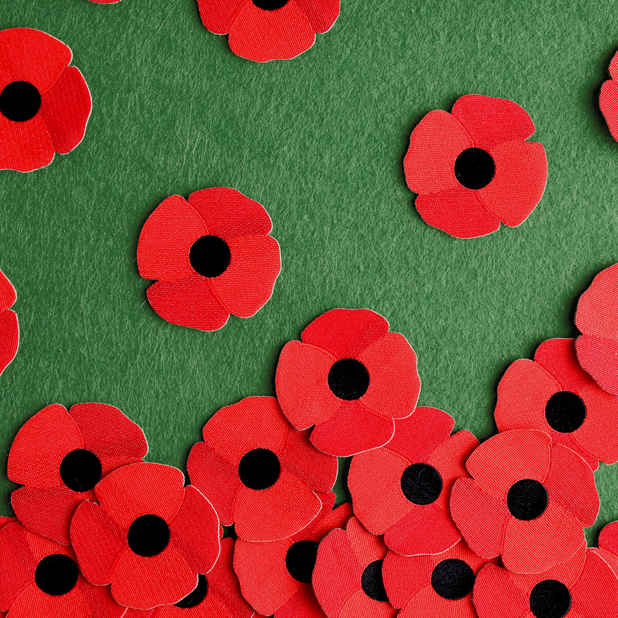 Remembrance Day Poppy Patch 40mm (Pack of 15)