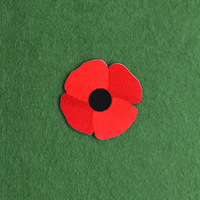 Remembrance Day Poppy Patch 40mm (Pack of 15)