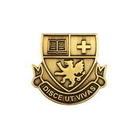 Disce ut vivas die struck pin badge
