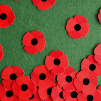 Remembrance Day Poppy Patch 40mm