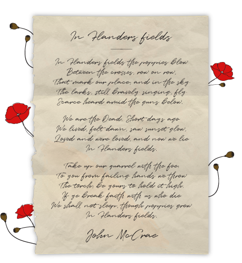 In Flanders Fields Poem