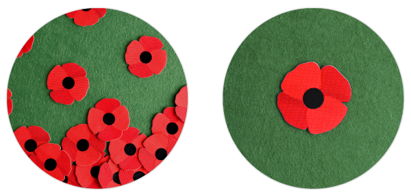 Aspinline Remembrance Poppies