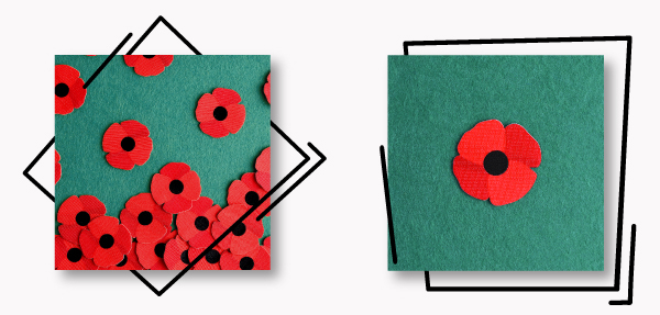 Poppy Patches 