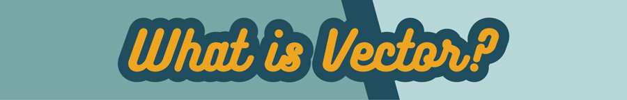 What is Vector? What is Vector?